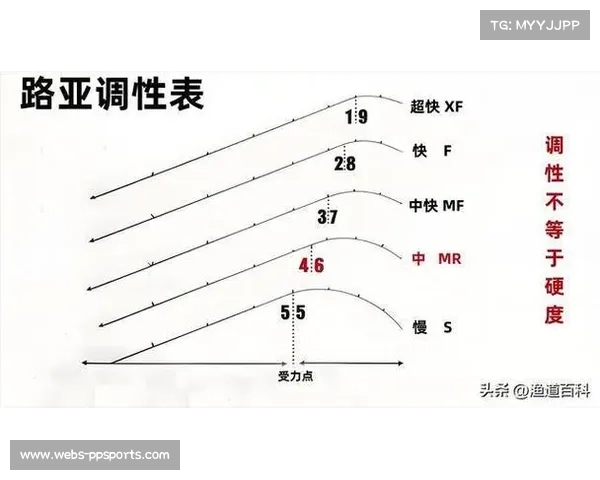 撑竿跳高理论中撑竿硬度与臂力匹配关系的研究与分析 撑竿跳高理论中撑竿硬度与臂力匹配关系的研究与分析